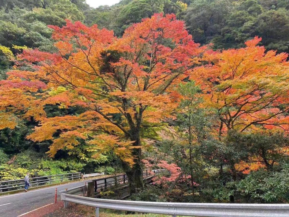Hotel Hoshi No Sato Kirišima Exteriér fotografie