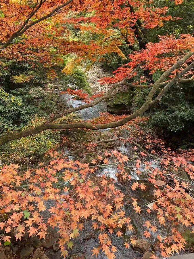 Hotel Hoshi No Sato Kirišima Exteriér fotografie